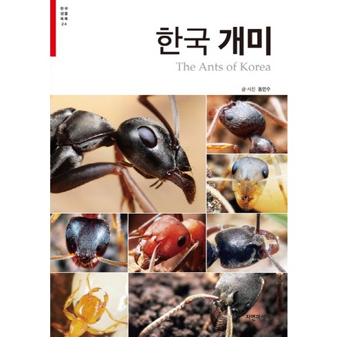 한국 개미, 자연과생태, 동민수 저