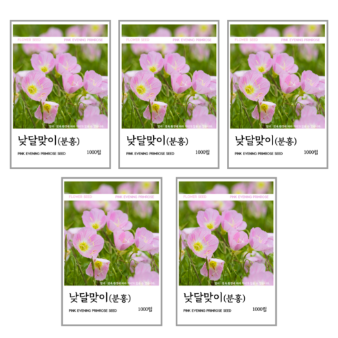 낮달맞이(분홍) 씨앗 1000립, 5개