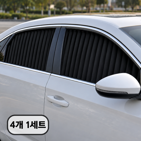 바이빈이 자석 레일형 햇빛가리개 차량용커튼, 1세트, 블랙
