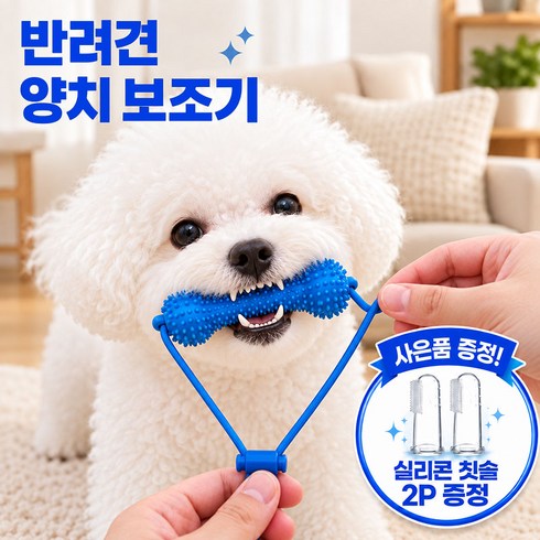 LTJZ 강아지 덴탈 토이 구강케어 치아관리 치석제거 양치 보조기구 장난감 칫솔 2개 증정, 1세트, 블루
