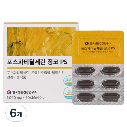 한국생활건강연구소 포스파티딜세린 징코 PS 뇌영양제, 6개, 60정