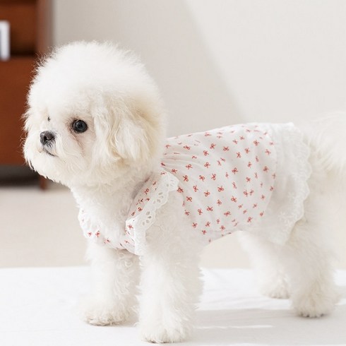Coablu 강아지 고양이 플라워 리본 민소매 원피스 얇은 통기성, 1개, 흰색