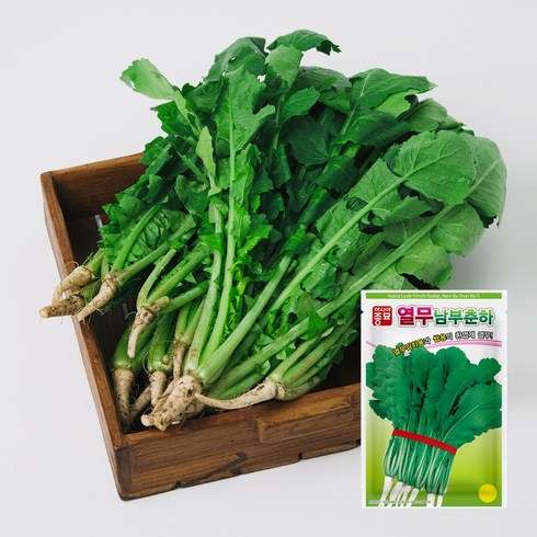 아시아종묘 남부춘하 열무 씨앗 500g, 1개