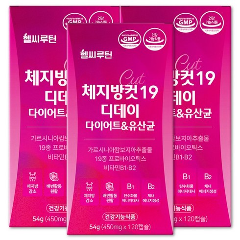 헬씨루틴 체지방컷 19 디데이 다이어트 유산균, 3개, 120정