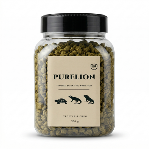 UDR 베지터블츄 350g 뽕잎육지거북이사료, 1개