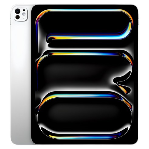 Apple 정품 2024 아이패드 프로 13 M4칩 스탠다드 글래스, 실버, 256GB, Wi-Fi