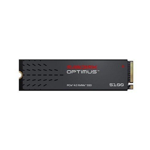 샌디스크 Optimus 5100 M.2 NVMe SSD, SDSP51400TAN-000E0, 4TB