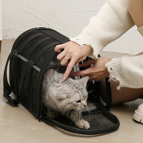 호담즈 쾌적통풍 안심이동 반려동물 이동장, 1개, 블랙