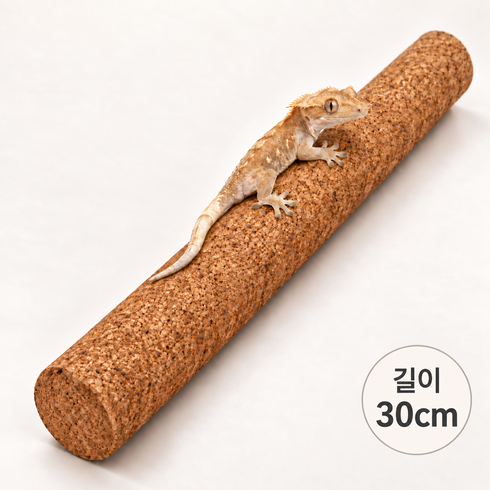 주앙이 소동물 원통형 도마뱀 코르크 백업, 1개, 30cm