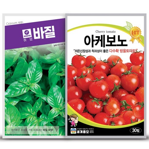 아케보노 방울토마토 30립+온세상 바질 150립, 1개