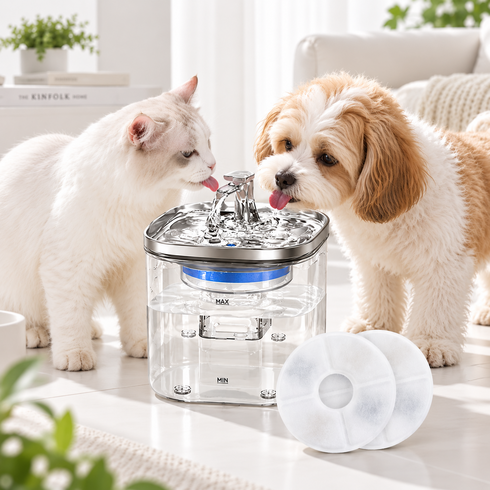 Bornoon 고양이 정수기 강아지 자동 급수기 2L 애견 음수대+필터 2p, 1개, 반투명, WF040