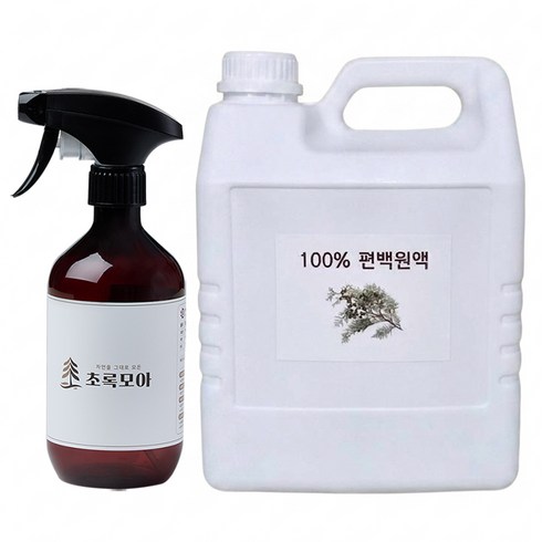 초록모아 잎 편백수 피톤치드 스프레이 탈취제, 1개, 5L