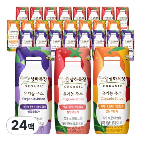 상하목장 유기농주스 125ml 3종 각8팩 (총24팩), 24개, 딸기+오렌지+블루베리