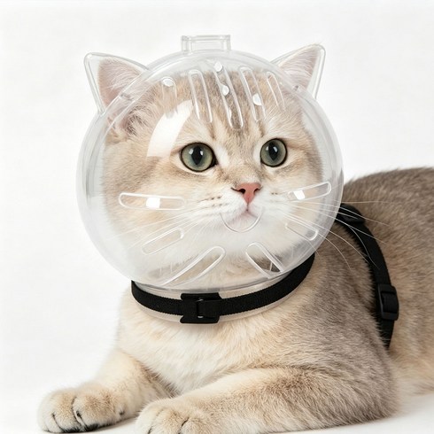 지나로 고양이 물림방지 헬멧 입마개 머리보호캡, 1개, 투명