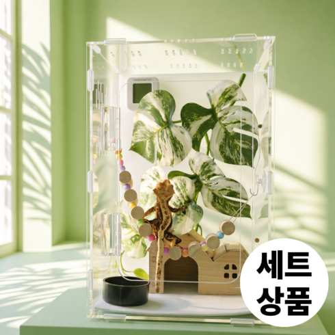 필핏 크레스티드 게코 사육장 도마뱀 파충류 은신처 세트, 1세트, 몬스테라