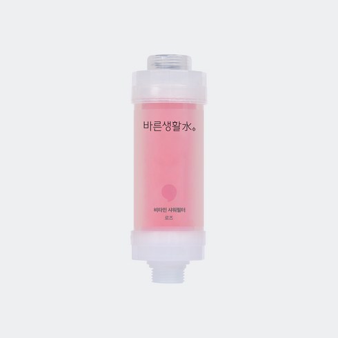 바른생활수 비타민 샤워필터, 1개, 로즈