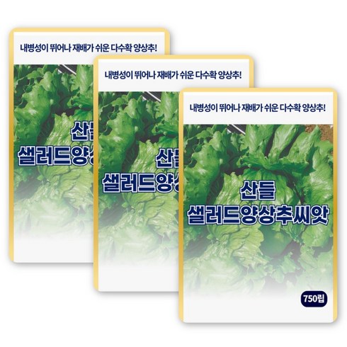 산들 샐러드 양상추씨앗 750립 내병성 뛰어난 다수확 조생종 양상추씨 종자, 3개