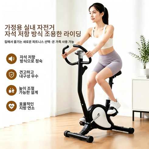 KC인증 실내 자전거 운동기구 가정용 사이클 무소음 유산소 최대 중량: 150kg, 흑백, 프리미엄 에디션-579