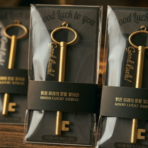 마보앤할로 행운의 열쇠 볼펜 합격볼펜 수능 단체 선물 중학생 고등학생, 2개, 빛나는 미래의 문을 열어라(1개)
