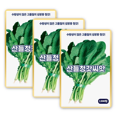 산들 청갓씨앗 1300립 수량성 많고 김장용 소량 청갓씨 종자, 3개
