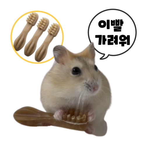 (best상품) 햄스터 이갈이 덴탈츄 비건 간식 인기만점!! 옐로우, 3개