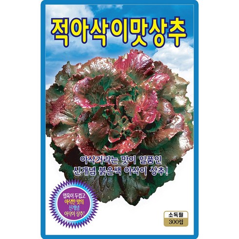 ks 적아삭이맛 상추 300립, 1개