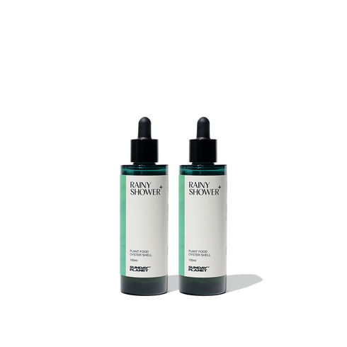 앰플형 고농축 식물영양제 - 레이니샤워, 2개, 100ml