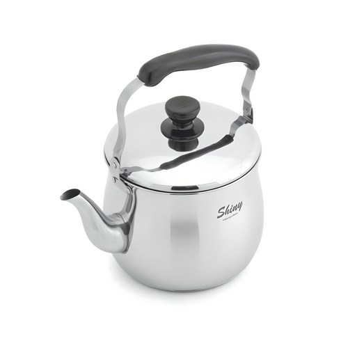 퀸센스 샤이니 인덕션 스텐 주전자, 3L, 혼합 색상, 1개