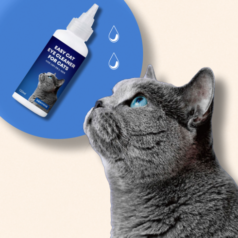 이지캣 고양이 전용 눈세정제, 1개, 120ml
