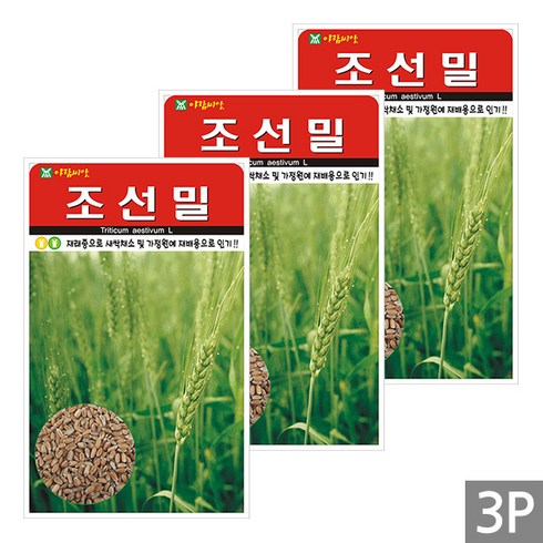 세인화분 조선밀 30g - 국산 참밀 밀 씨 씨앗, 3개