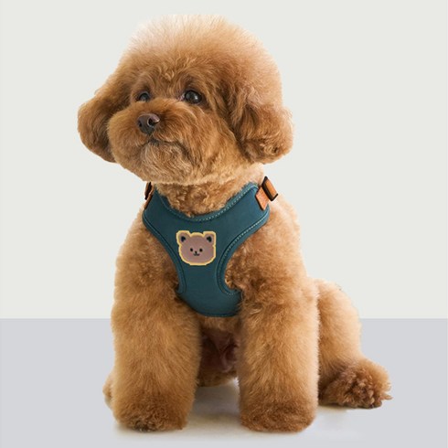 FONOW 강아지하네스 고양이 애견 아웃도어 끈, 초록색