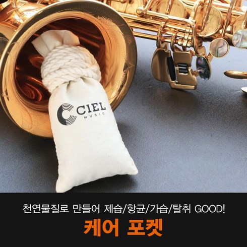 씨엘 색소폰 제습/항균/가습/탈취 케어포켓, 1개