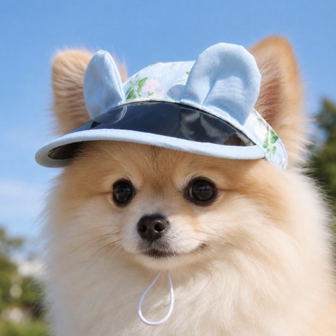 상덕 반려동물 썬캡 자외선차단 강아지 고양이 여름 모자, 1개, 푸른 색