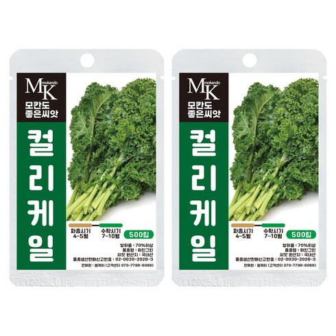 모칸도 좋은씨앗 컬리케일 씨앗 500립 크라우저 케일 잎채소 야채 씨앗, 2개