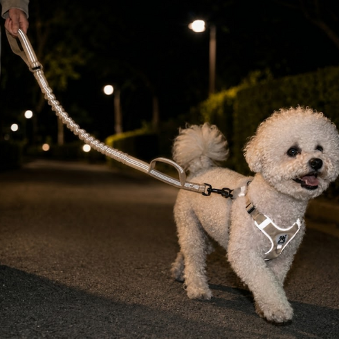 야간 빛반사 강아지 소형견 중형견 대형견 양손 그립 리드줄 충격완화, 1개, 베이지
