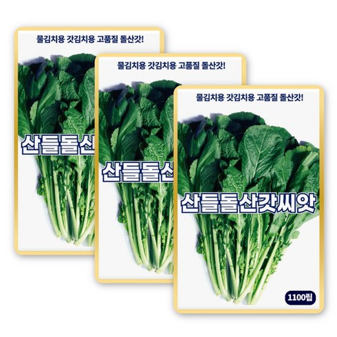 산들 돌산갓씨앗 1100립 각종 김치용 소량 돌산갓씨 종자, 3개