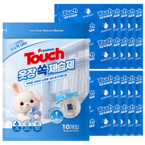 제습제 10개입 초강력 옷장쏙제습제 가정용제습제 습기제거제, 300g, 1개