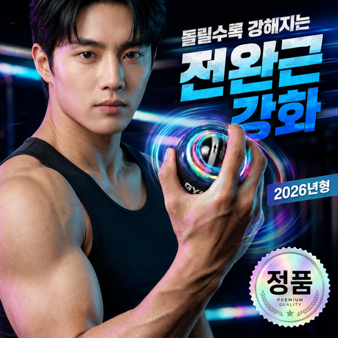 디액티브 자이로볼 전완근 운동기구 손목강화 악력 스트레칭 파워볼 액티볼, 1개, 시크 블랙
