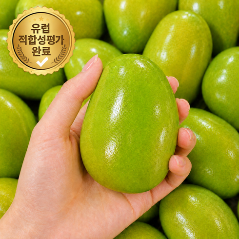 [안전인증] 디자인유니크 크런치말랑이 슬라임 슬랑이, 망고슬랑이, 60g, 1개