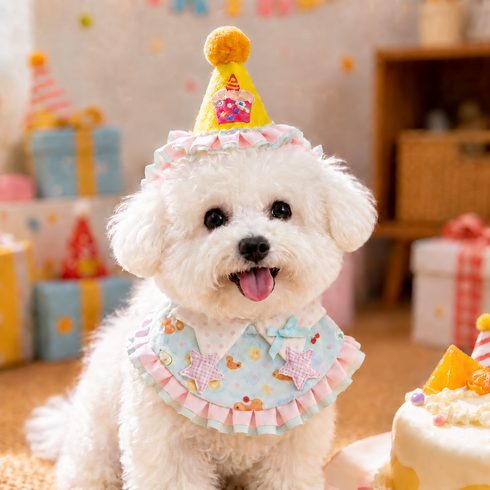 강아지 고양이 생일모자 프릴 케이프 세트 반려동물 생일파티 촬영소품, 1개, 옐로우