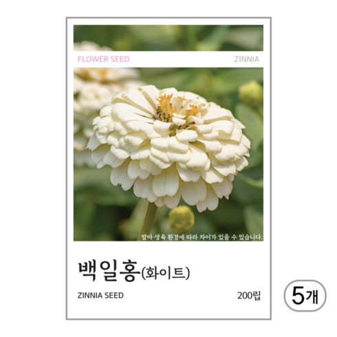 새싹바라기 백일홍(화이트) 씨앗 200립, 5개