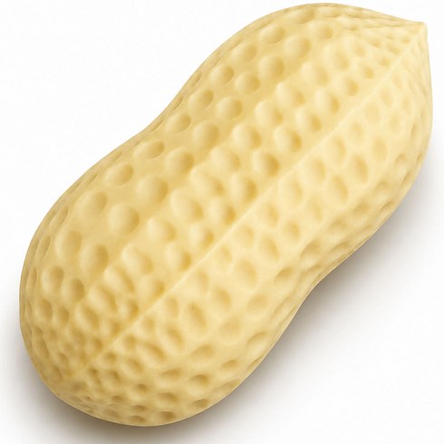 루루이즈 땅콩 스퀴시 바삭바삭 오독오독 바스락, 1개, 100g, 바스락땅콩