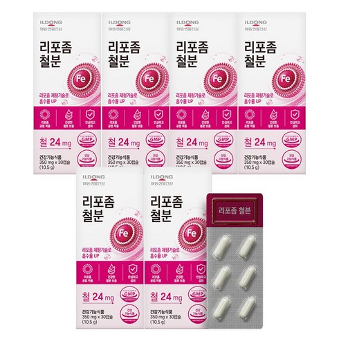 일동 리포좀 철분제 미니 영양제 임산부 여성 남성 청소년, 6개, 30정