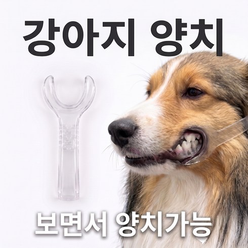 몽냥멍냥 강아지 입벌리개 양치 보조기 투명, 1개, 50g