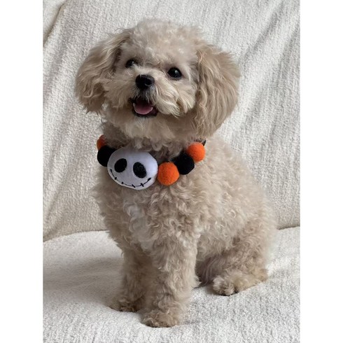 파울리 할로윈 파티 반려동물 찍찍이 목걸이 엽기 악세서리 장식 강아지 고양이용 비숑 말티푸 봉제, 1개, 유령
