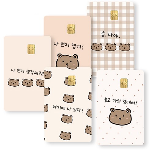 제이엔케이스토어 카드 스킨 꾸미기 스티커 커버 5매입, 베베어, IC 정사각