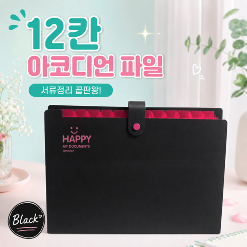 골드팡 해피 아코디언 12칸 파일 정리함 바인더, 블랙, 1개