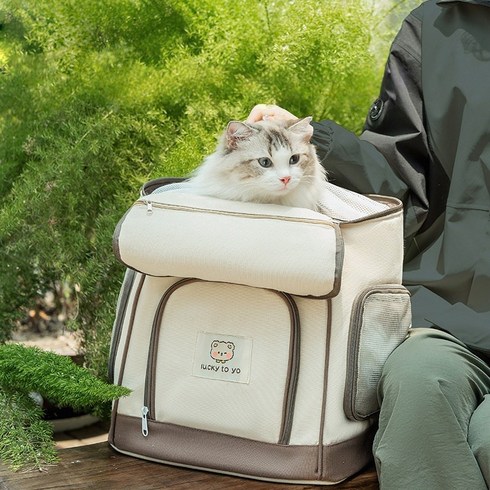NSION 대용량 애완동물 이동가방 러블리 곰돌이 장식 강아지 고양이 통기성 백팩, 1개, 아이보리