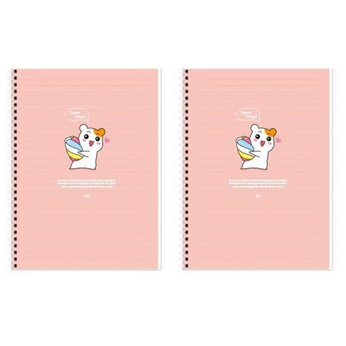 아이비스 에비츄 좌철스프링노트, 피치, 2개