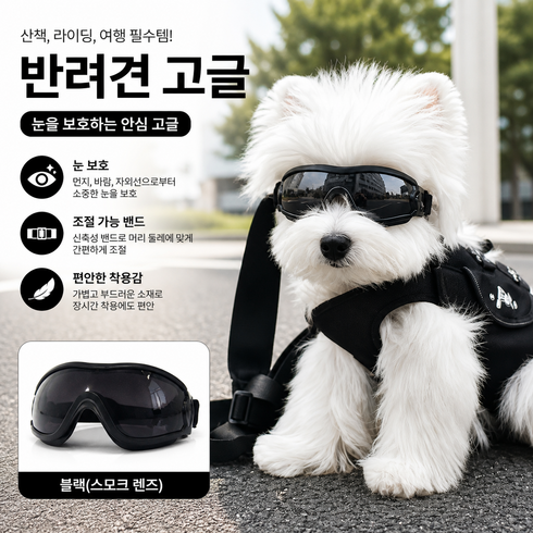 퓨처 반려견 고글 선글라스 방풍 강아지 안경 소형견 중형견 외출 보호용 애견 패션 아이템, 1개, 블랙 프레임, 그레이 렌즈